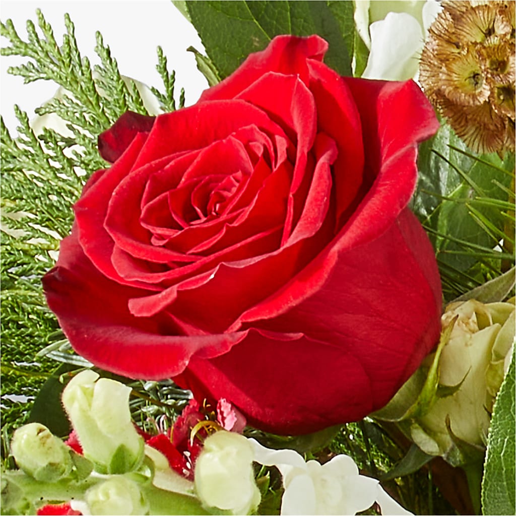 Deck the Halls Bouquet –  Aiello Mid-town Florist, Kenosha WI