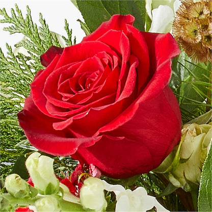 Deck the Halls Bouquet –  Aiello Mid-town Florist, Kenosha WI