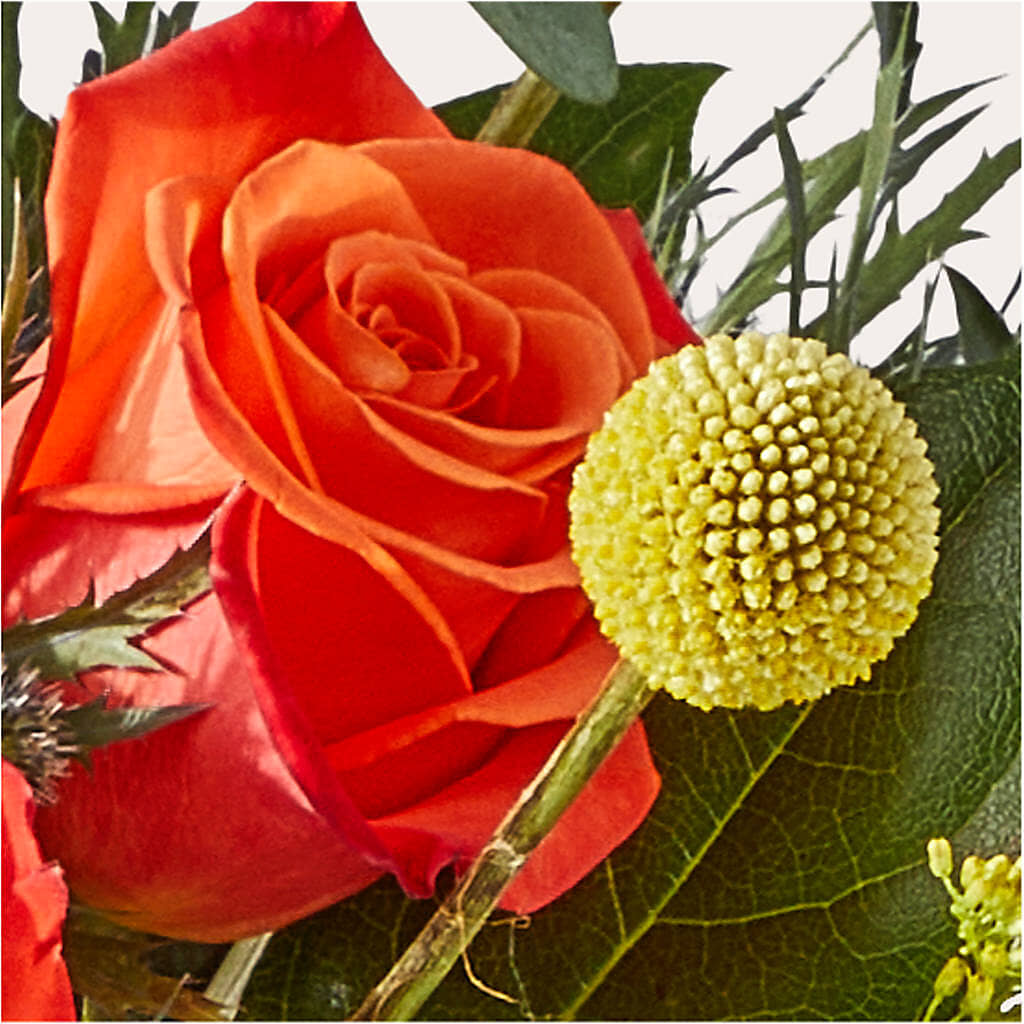 Disco Bouquet –  Aiello Mid-town Florist, Kenosha WI