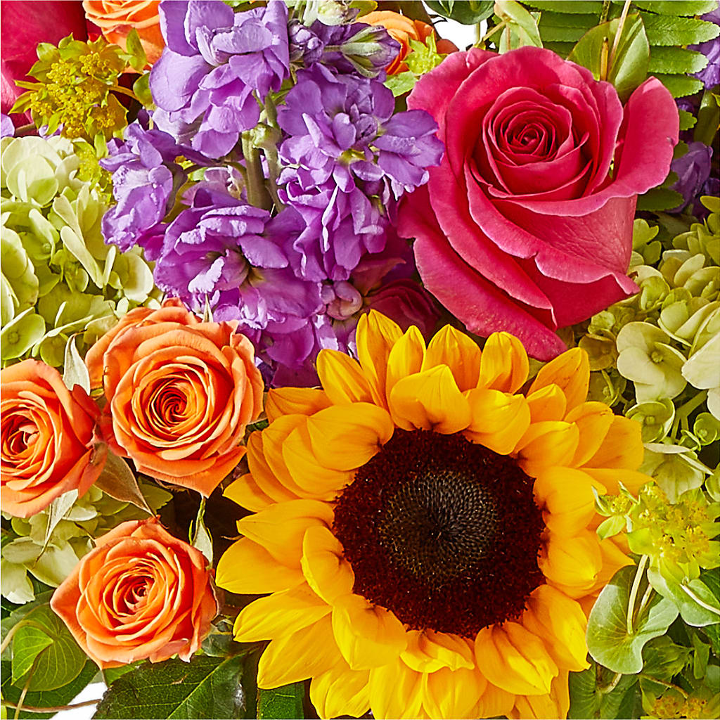 Vibrant Greetings Bouquet –  Aiello Mid-town Florist, Kenosha WI