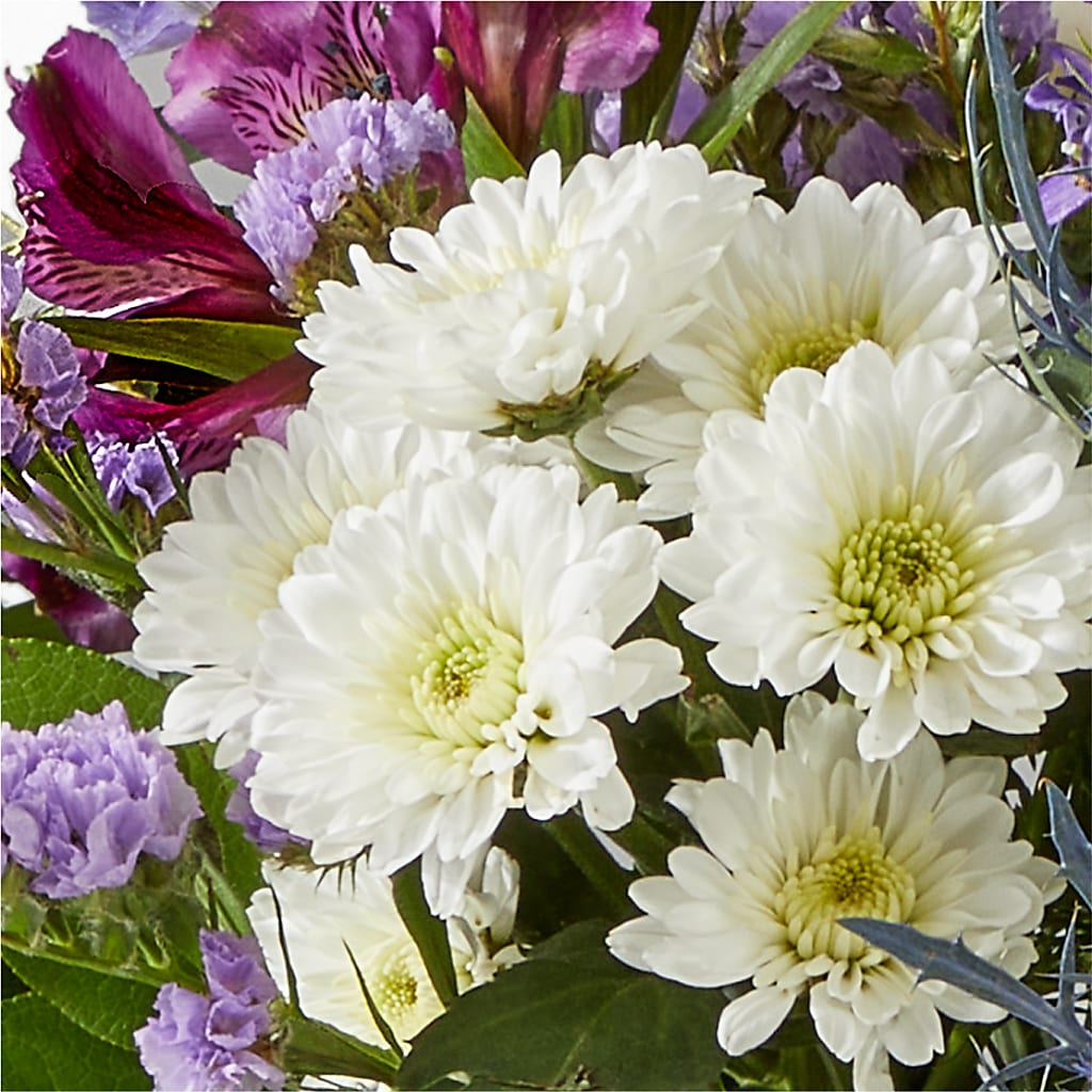 Shooting Star Bouquet –  Aiello Mid-town Florist INC, Kenosha WI
