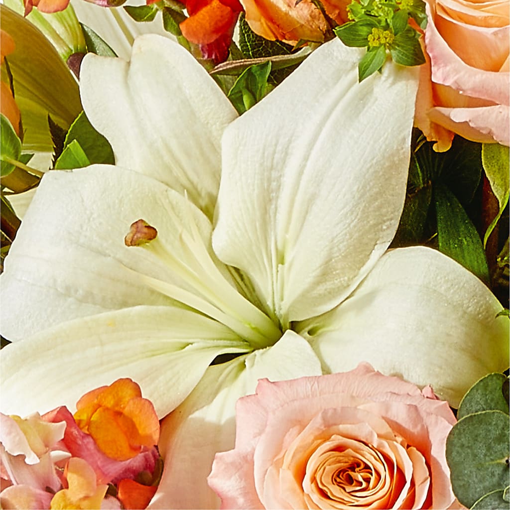 Grapefruit Splash Bouquet –  Aiello Mid-town Florist, Kenosha WI