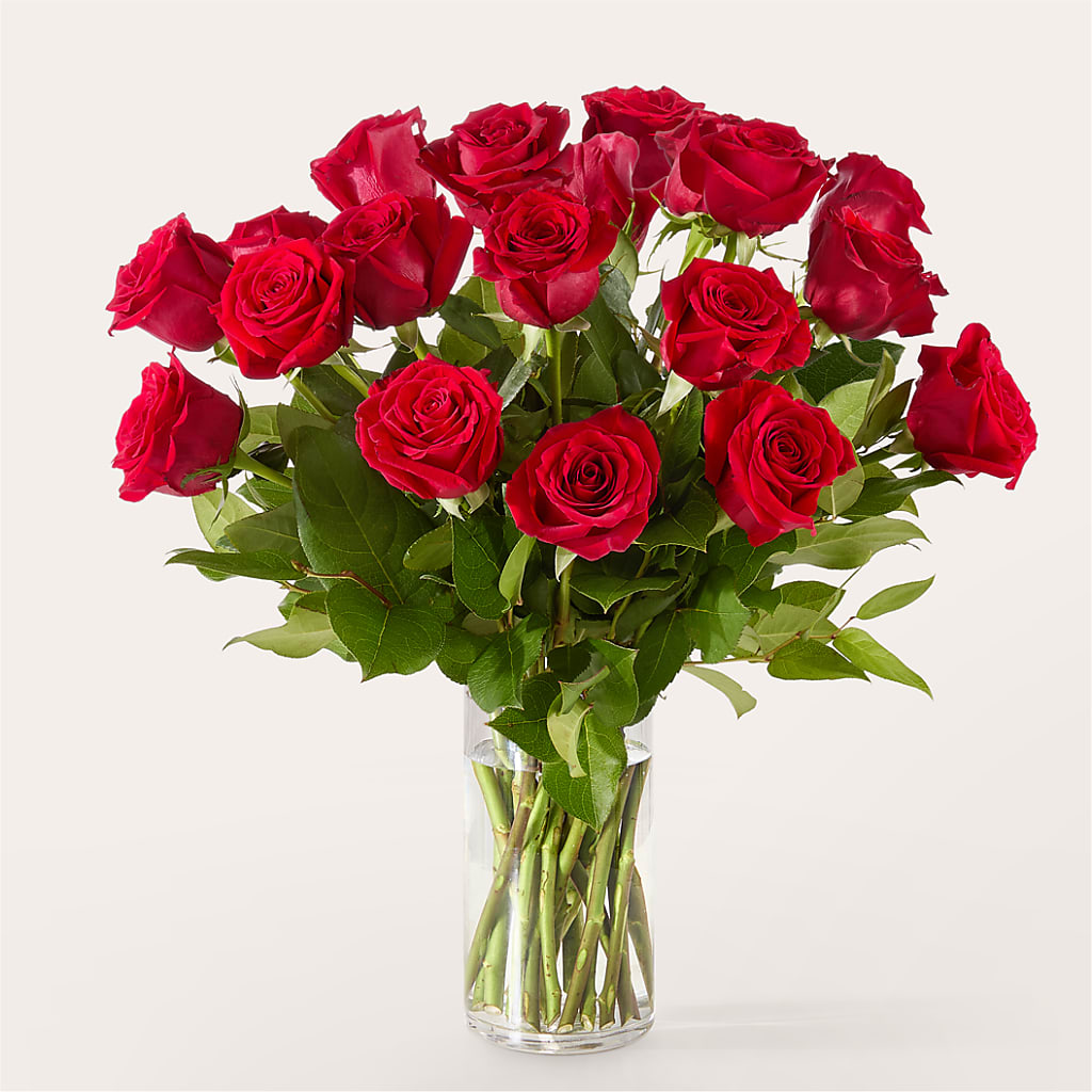 The One Red Rose Bouquet –  Aiello Mid-town Florist Inc, Kenosha WI