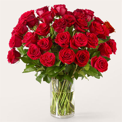 The One Red Rose Bouquet –  Aiello Mid-town Florist Inc, Kenosha WI