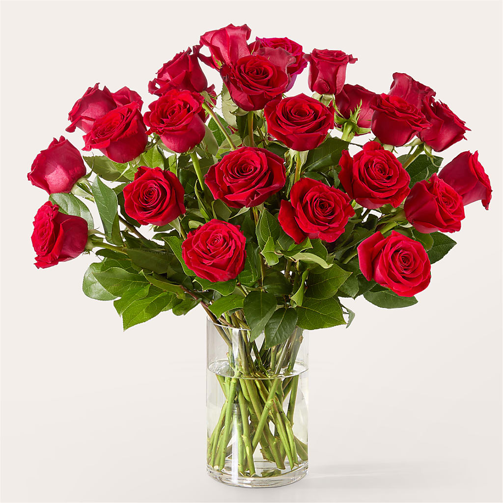 The One Red Rose Bouquet –  Aiello Mid-town Florist Inc, Kenosha WI