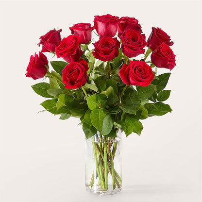The One Red Rose Bouquet –  Aiello Mid-town Florist Inc, Kenosha WI