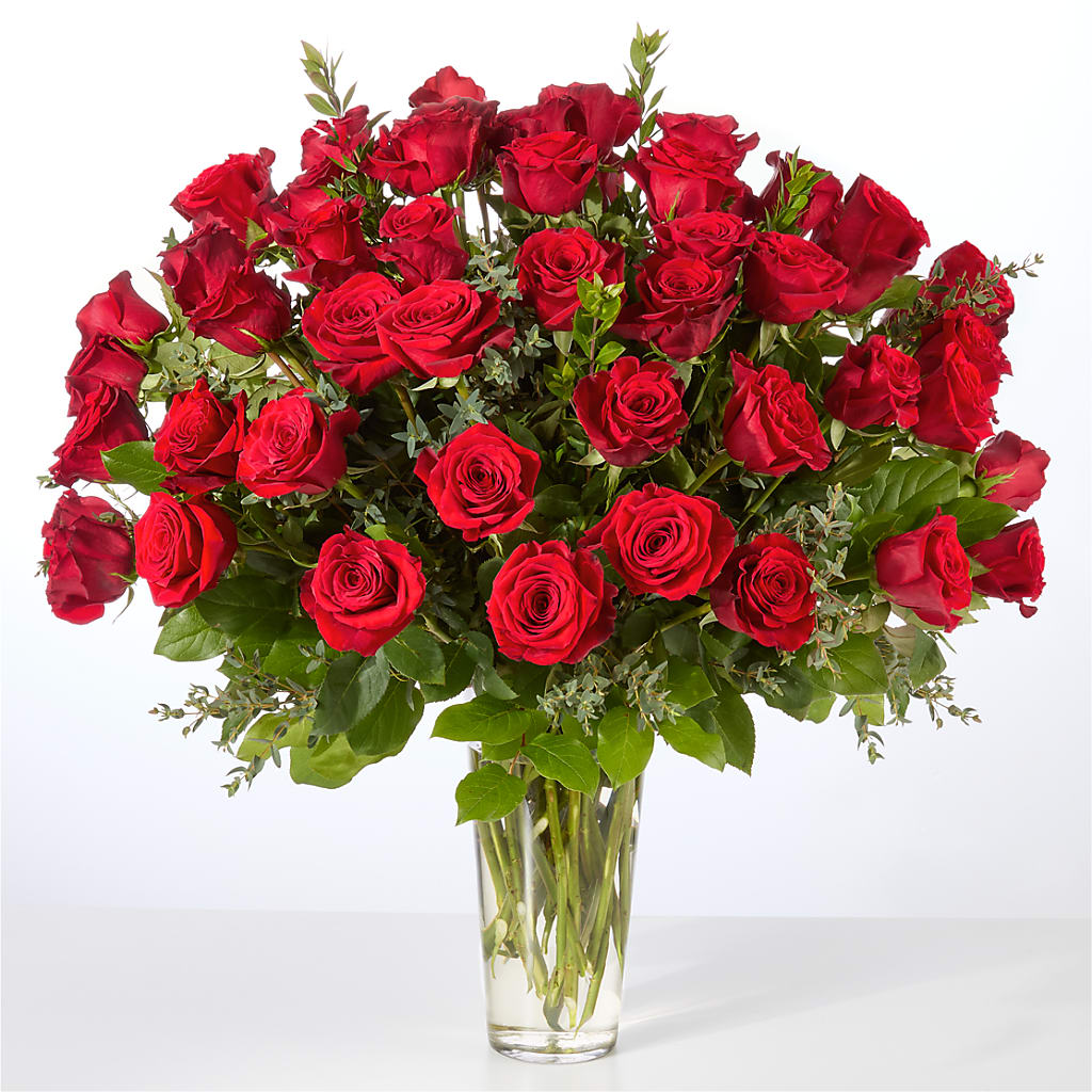 Forever Yours Fifty Stem Red Rose Bouquet –  Aiello Mid-town Florist Inc, Kenosha WI