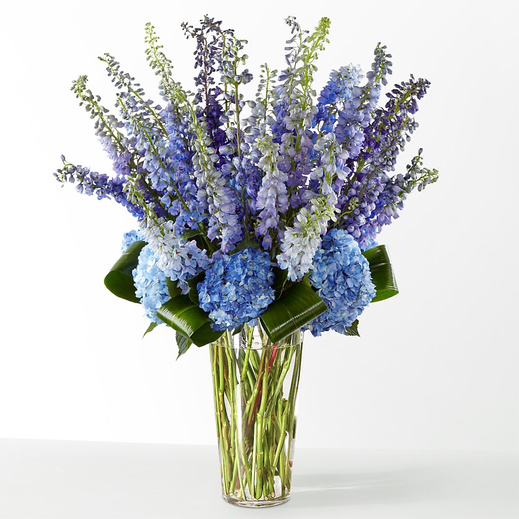 The Editorial –  Aiello Mid-town Florist Inc, Kenosha WI