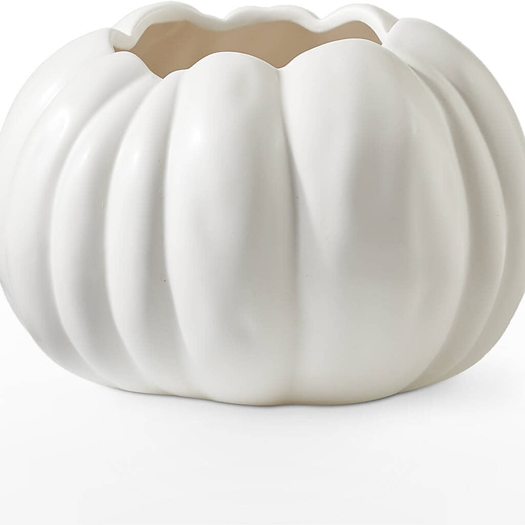 Autumn Air Pumpkin Bouquet –  Aiello Mid-town Florist, Kenosha WI